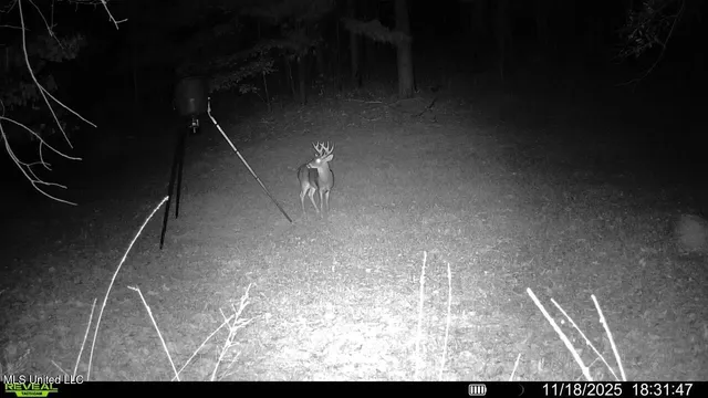 $599,000 | 773 Permenter Road, Camden, MS 39045