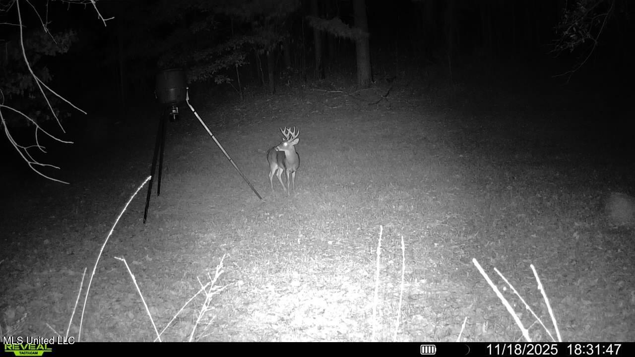 773 Permenter Road Camden, MS 39045 - Photo 40 of 50 016579008217841-68-4-11182025183147-SYFW