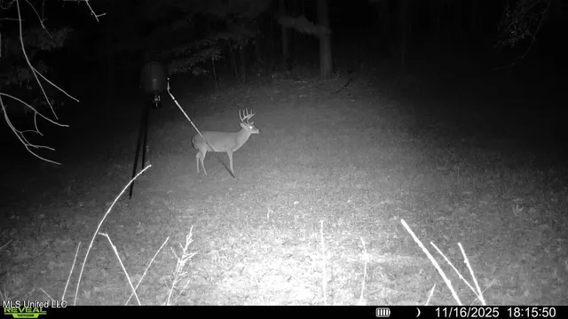 $599,000 | 773 Permenter Road, Camden, MS 39045