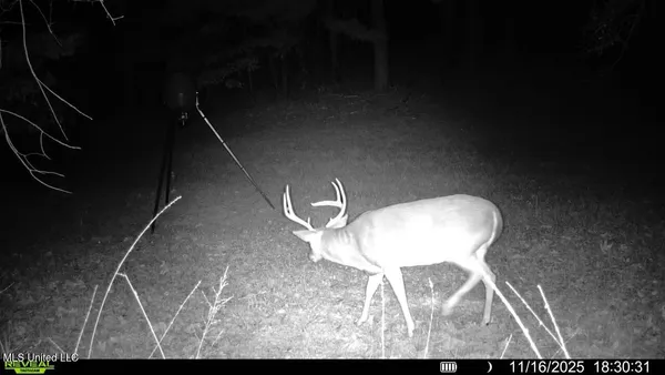 $599,000 | 773 Permenter Road, Camden, MS 39045