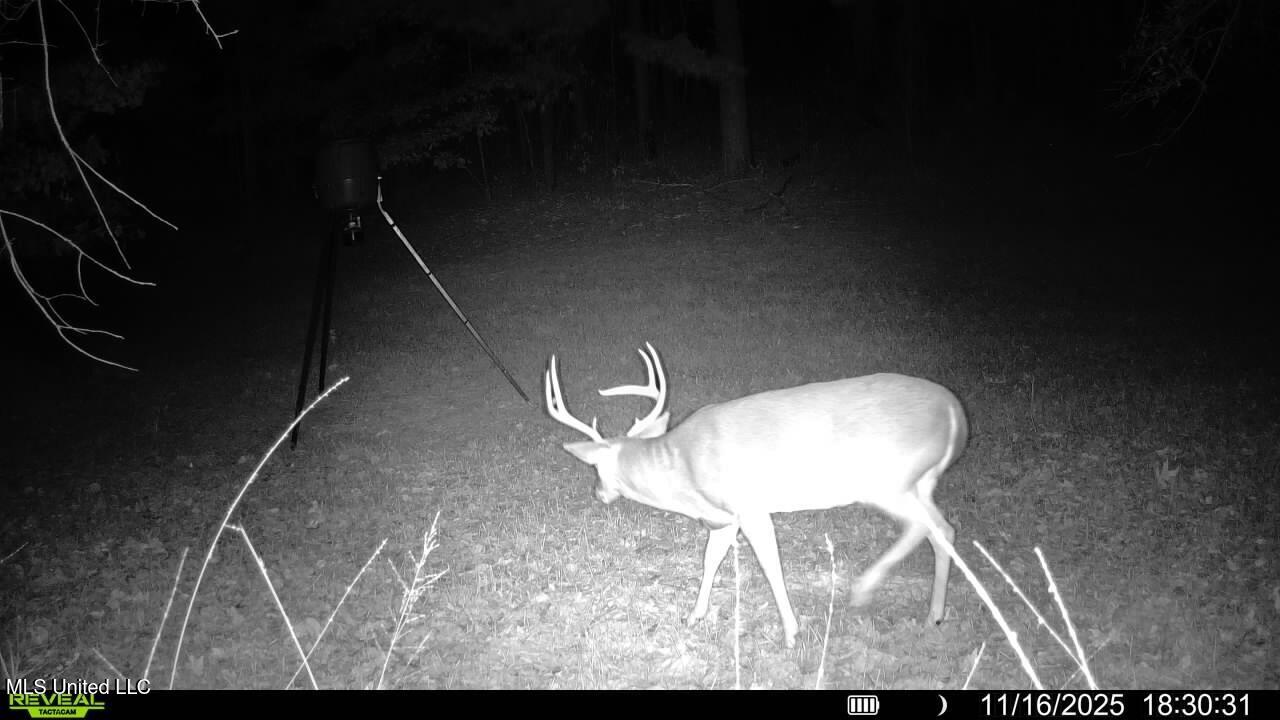 773 Permenter Road Camden, MS 39045 - Photo 42 of 50 016579008217841-83-3-11162025183031-SYFW