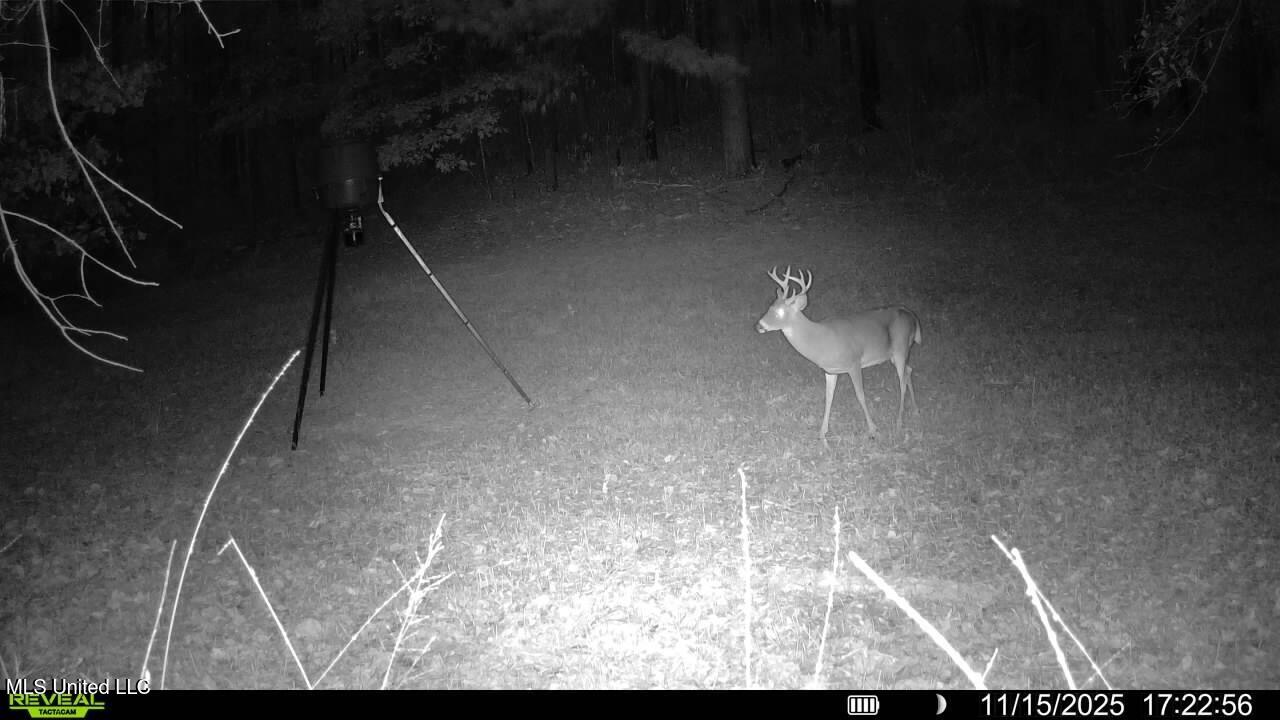 773 Permenter Road Camden, MS 39045 - Photo 43 of 50 016579008217841-80-3-11152025172256-SYFW