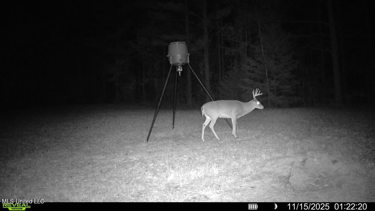 773 Permenter Road Camden, MS 39045 - Photo 45 of 50 016579005071183-89-3-11152025012220-SYFW