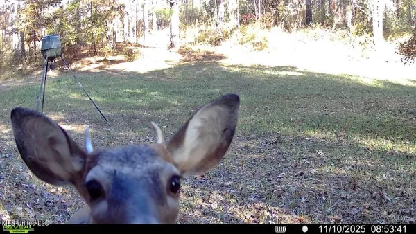 $599,000 | 773 Permenter Road, Camden, MS 39045