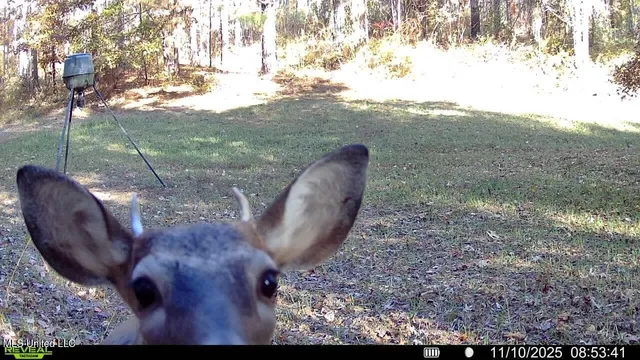 $599,000 | 773 Permenter Road, Camden, MS 39045