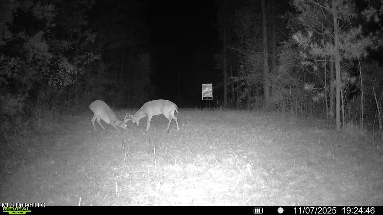 773 Permenter Road Camden, MS 39045 - Photo 48 of 50 016579003444036-53-4-11072025192446-SYFW