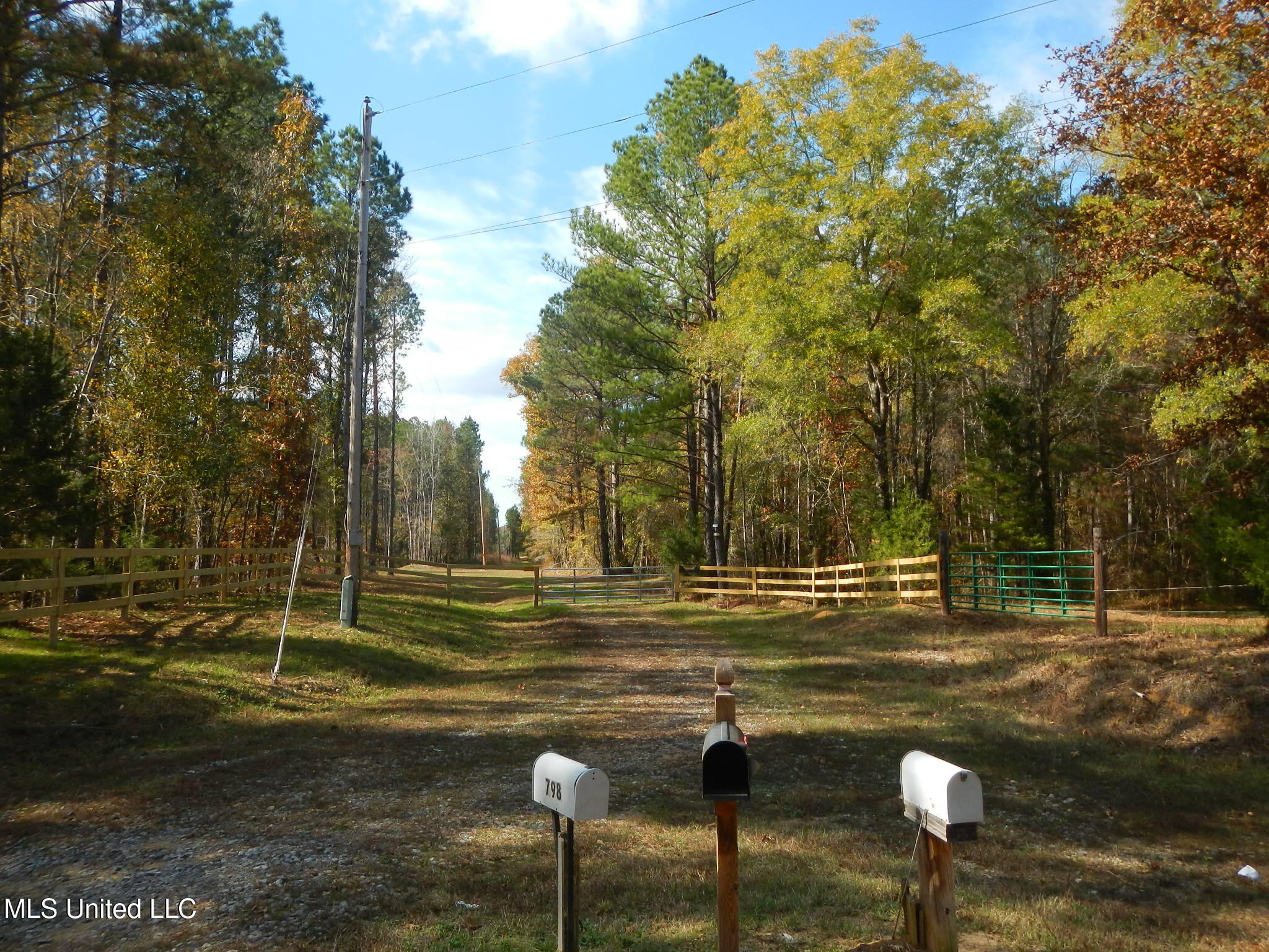 773 Permenter Road Camden, MS 39045 - Photo 6 of 50 DSCN9919