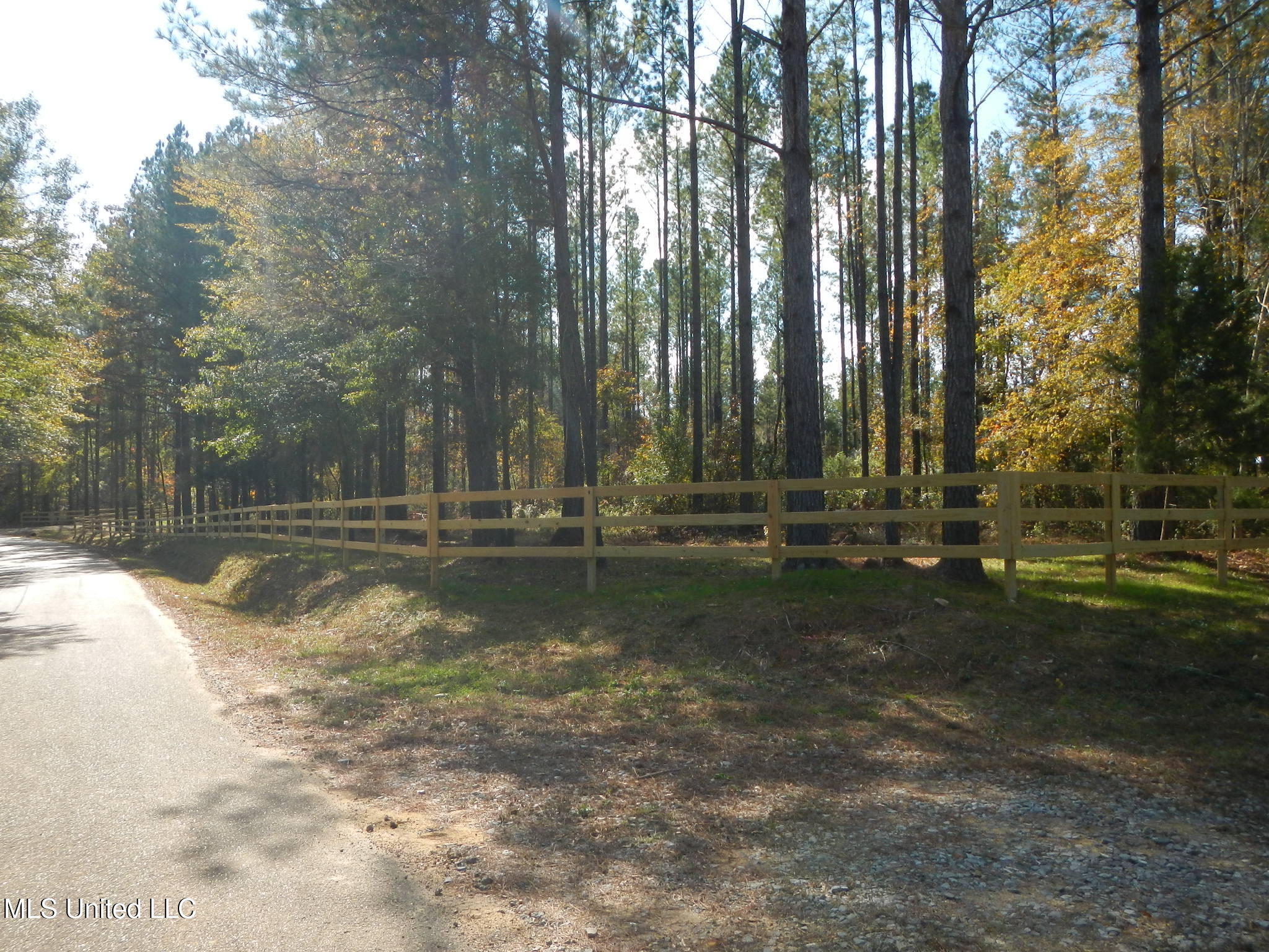 773 Permenter Road Camden, MS 39045 - Photo 7 of 50 DSCN9920