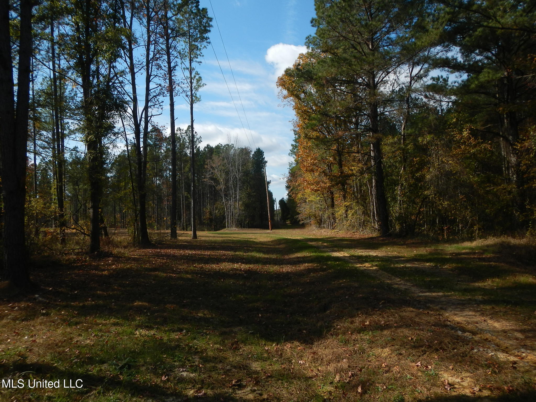 773 Permenter Road Camden, MS 39045 - Photo 9 of 50 DSCN9922