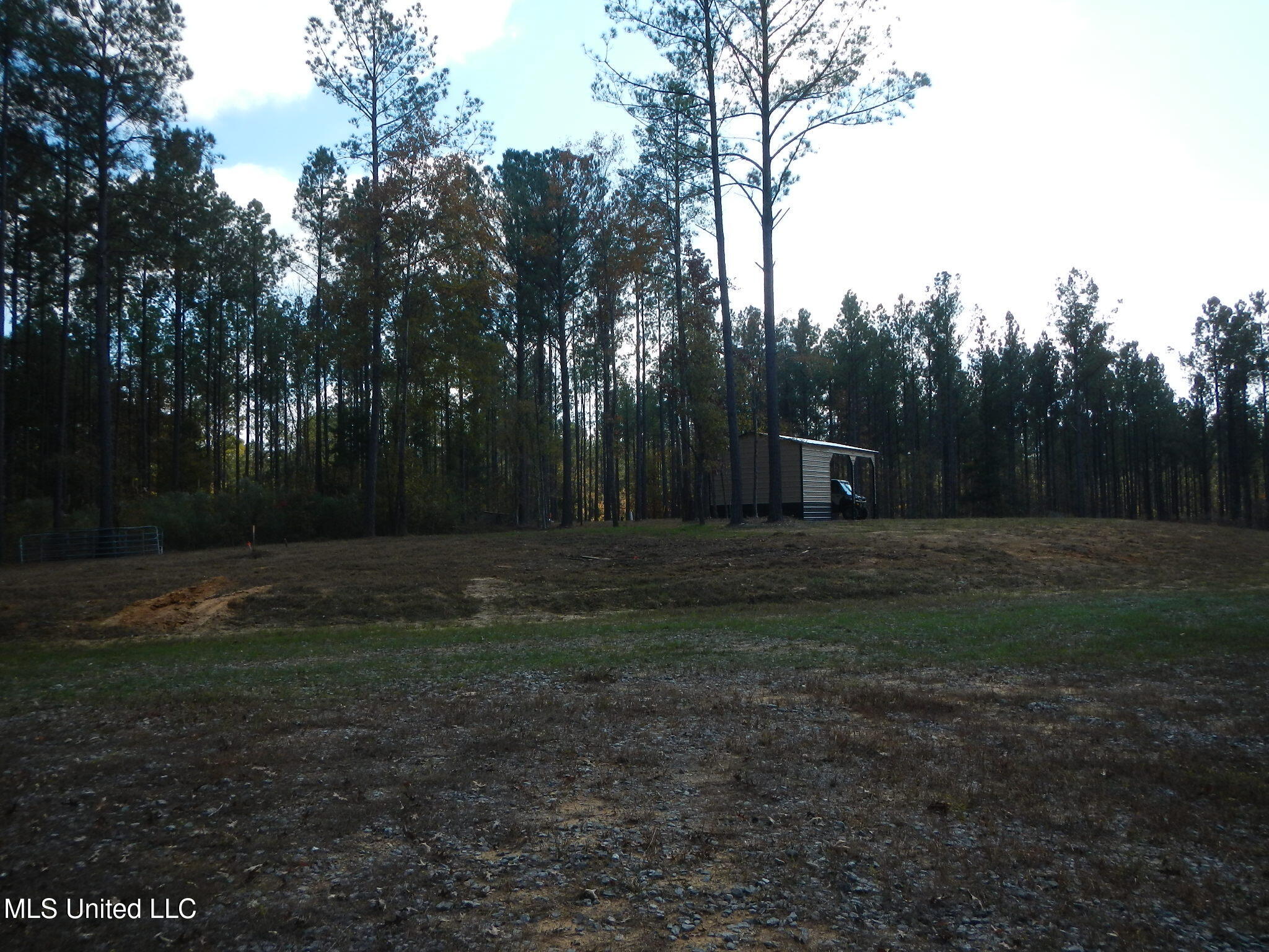 773 Permenter Road Camden, MS 39045 - Photo 10 of 50 DSCN9923