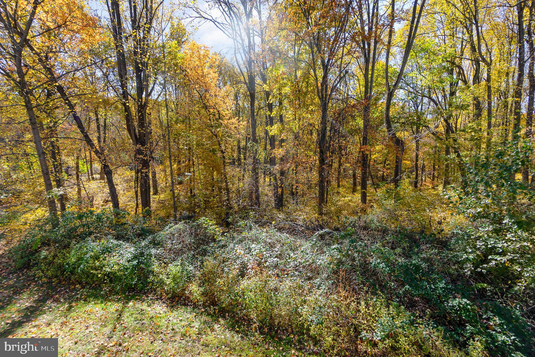 2710 Sharon Road Forest Hill, MD 21050 - Photo 23 of 25