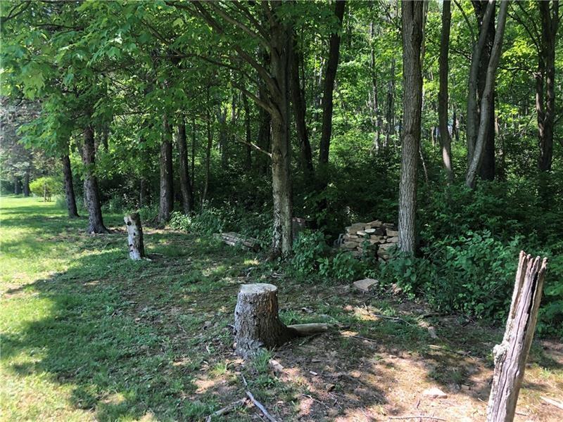 Lr26171 Old Mill Road Ohiopyle, PA 15421 - Photo 6 of 22 Gallery Image 6