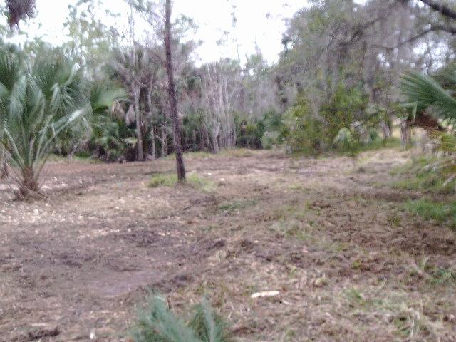 0 Mock Street St. Marks, FL 32355 - Photo 1 of 6