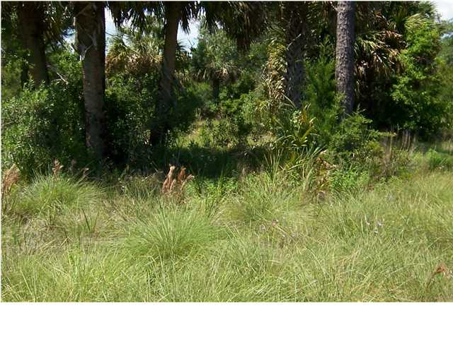 0 Mock Street St. Marks, FL 32355 - Photo 2 of 6
