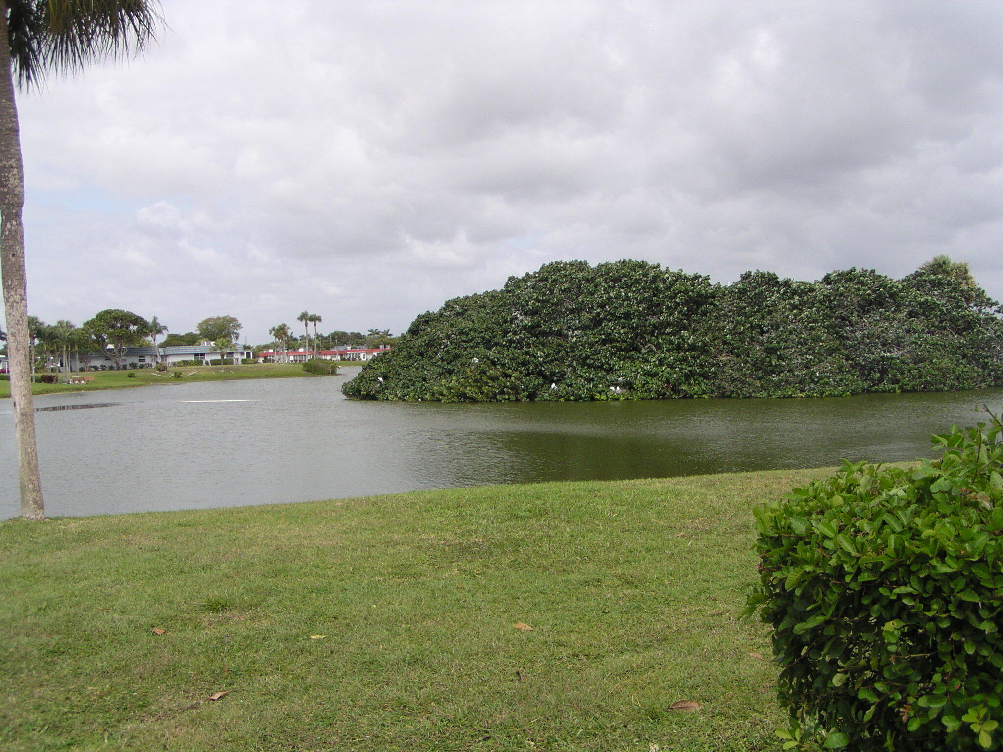 a view of a lake from a yard
