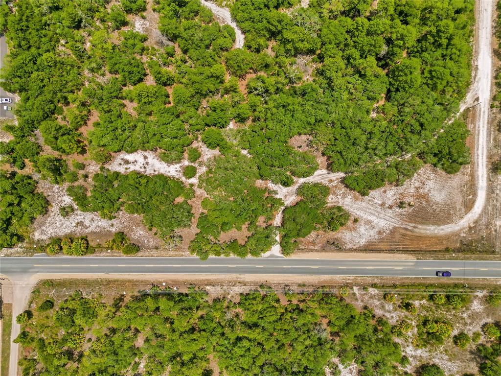 1 EAST Rd Spring Hill Hudson, FL 34667 - Photo 12 of 41 a view of a garden area