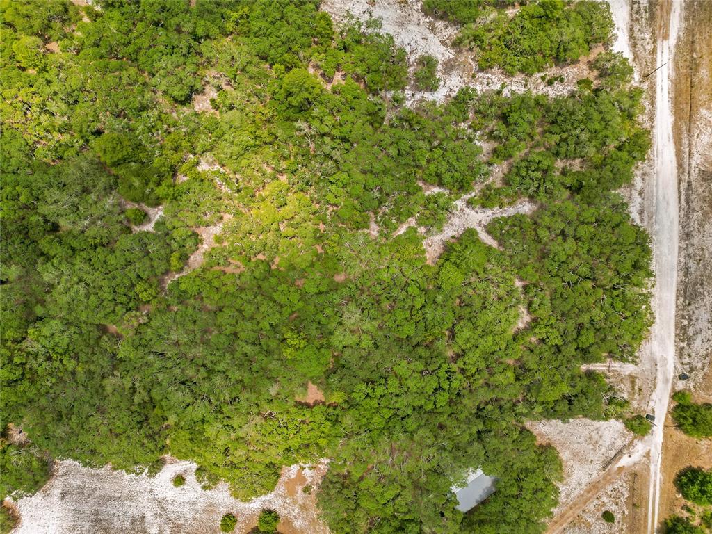 1 EAST Rd Spring Hill Hudson, FL 34667 - Photo 13 of 41 a view of a lush green forest with lots of trees