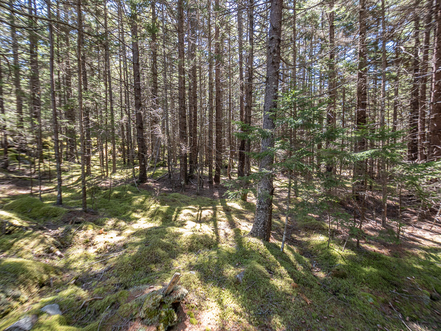 4 30 M/l North Road Swans Island, ME 04685 - Photo 5 of 9