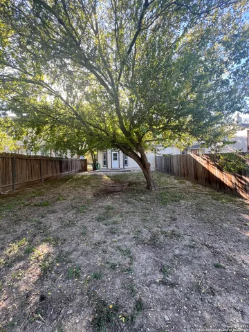 a view of a backyard with large trees