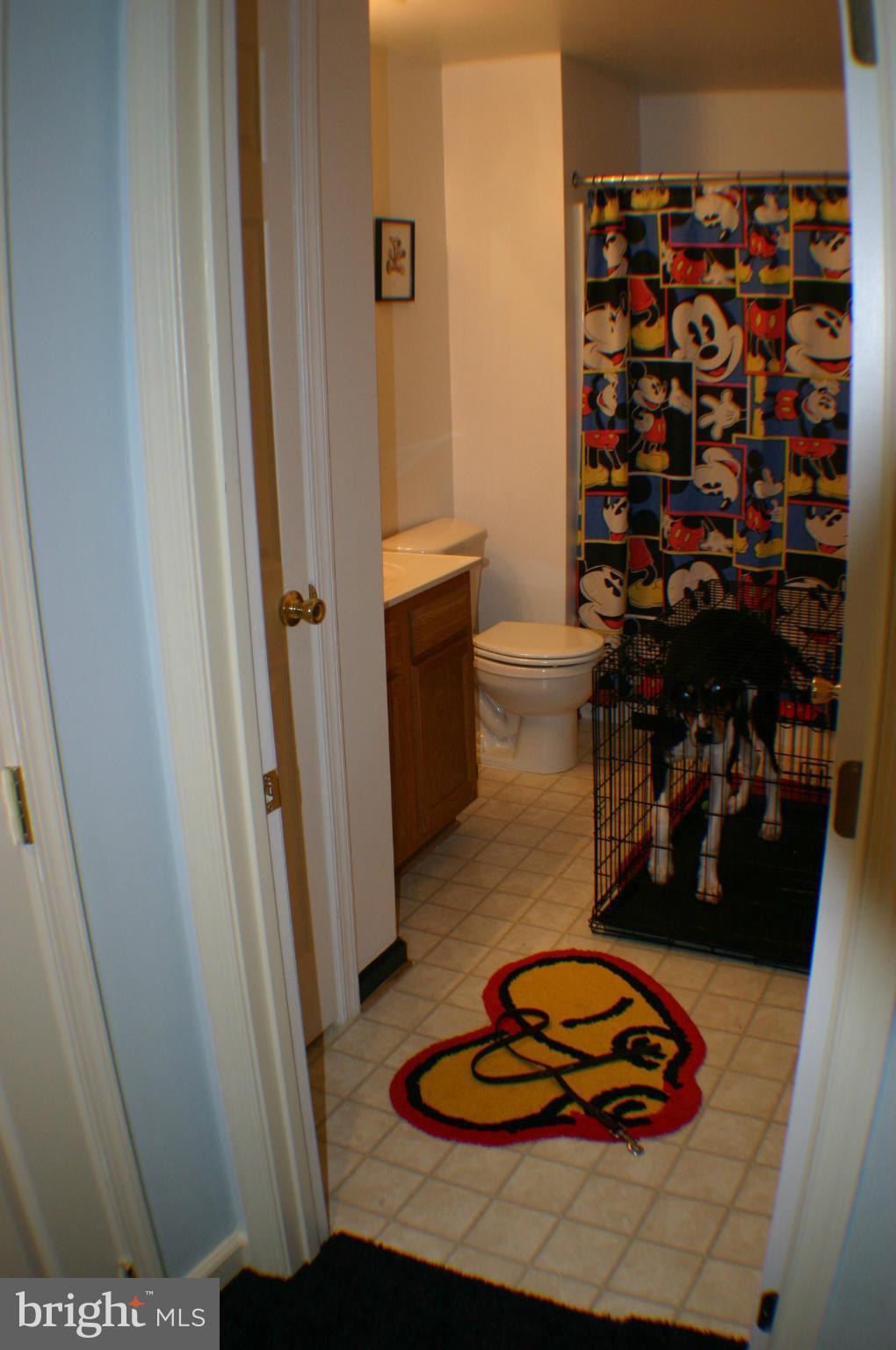 1417 Bush Road Severn, MD 21144 - Photo 25 of 29 Basement Full Bath