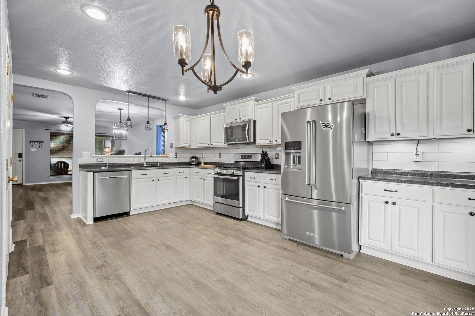 243 Cardinal Song San Antonio, TX 78253 - Photo 4 of 47