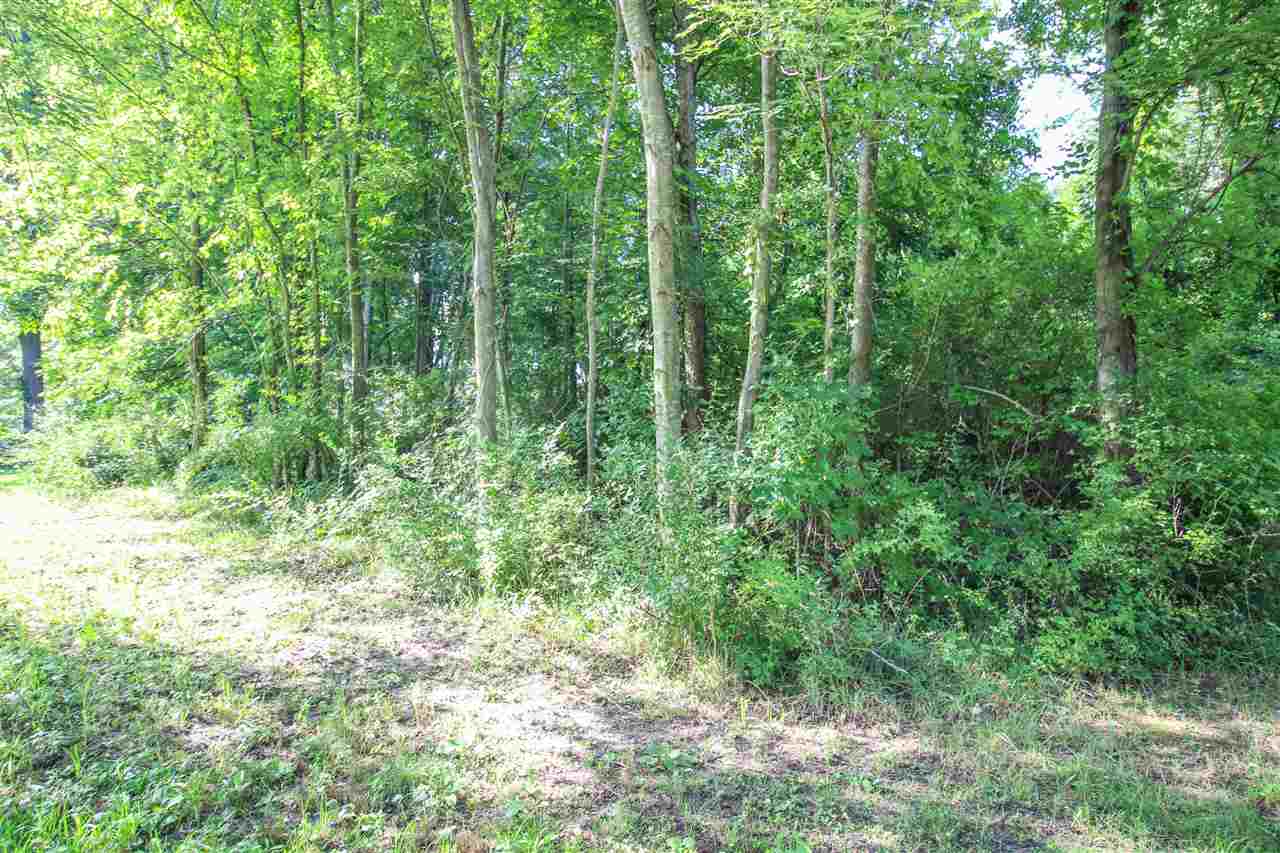 1 1/2 1/2 Mile Road Athens, MI 49011 - Photo 6 of 20