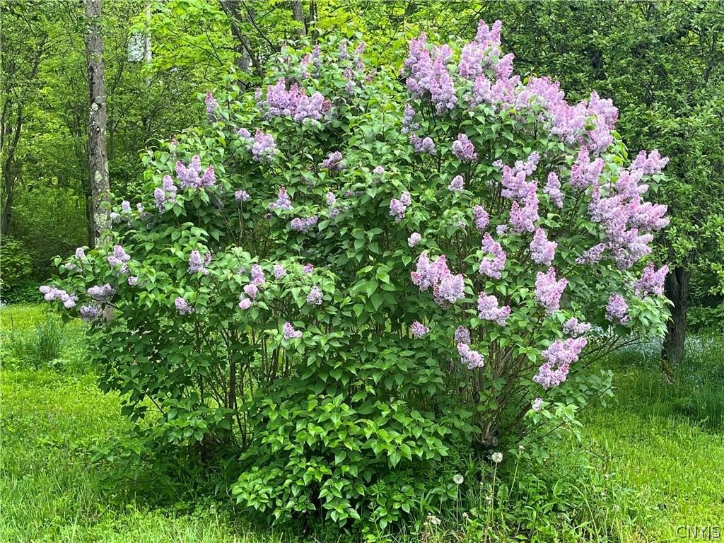 6313 East Homer-Baltimore Road, Unit 4 Preble, NY 13077 - Photo 29 of 32 Property in spring