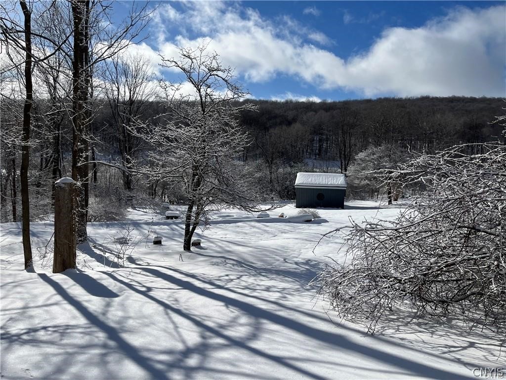 6313 East Homer-Baltimore Road, Unit 4 Preble, NY 13077 - Photo 32 of 32