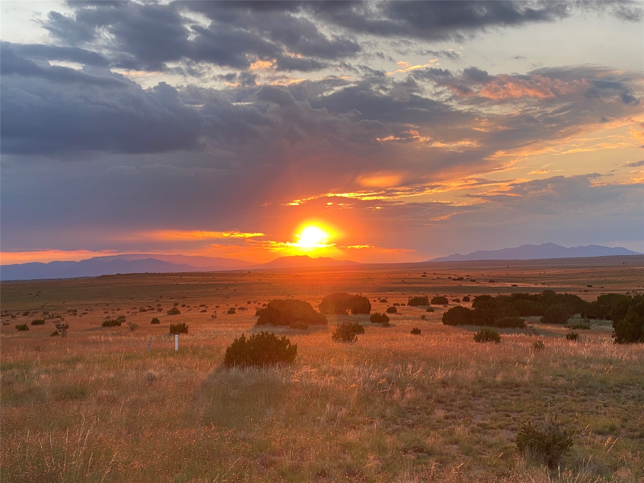 26262 US Highway 285 Ribera, NM 87560 - Photo 43 of 46