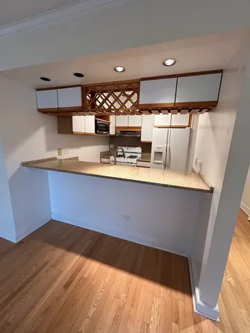 $3,000 | 401 West Webster Avenue, Unit 502, Chicago, IL 60614