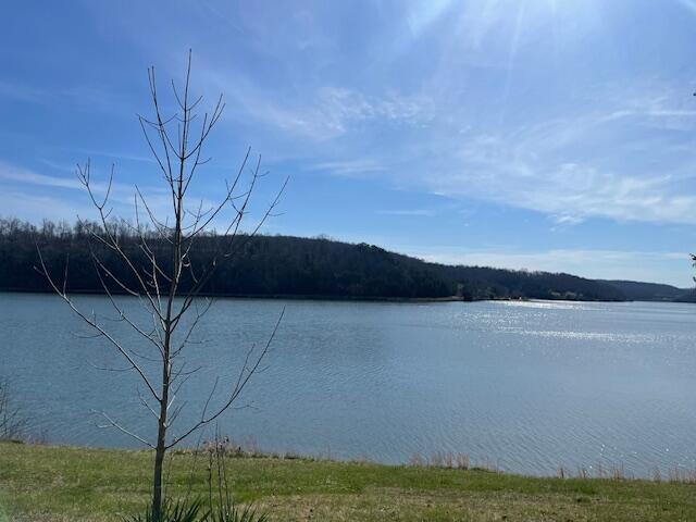 387 Barnett Road Brodhead, KY 40409 - Photo 29 of 31 IMG_9300