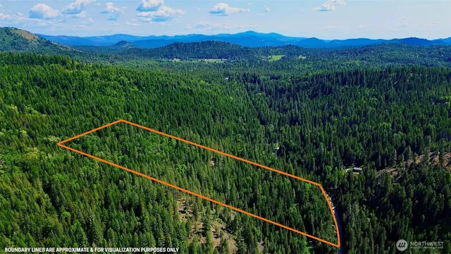 a view of a green field with a tree in the background