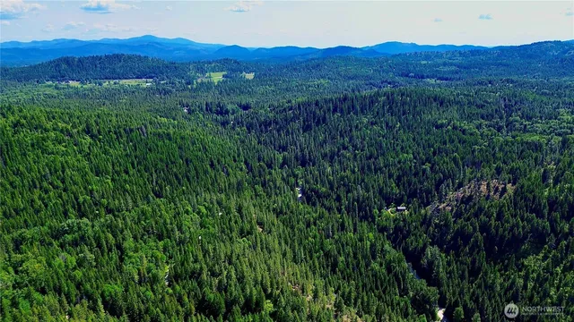 a view of a lush green hillside and a houses