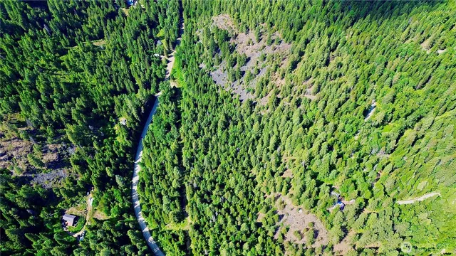 a view of a lush green plant