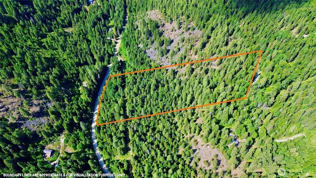 a view of a lush green plant