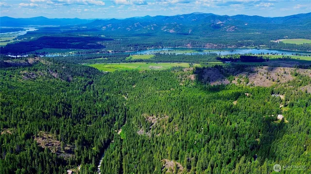 a view of a lush green hillside and houses