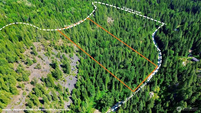 a view of a plant in a garden