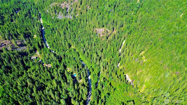 a view of a lush green plant