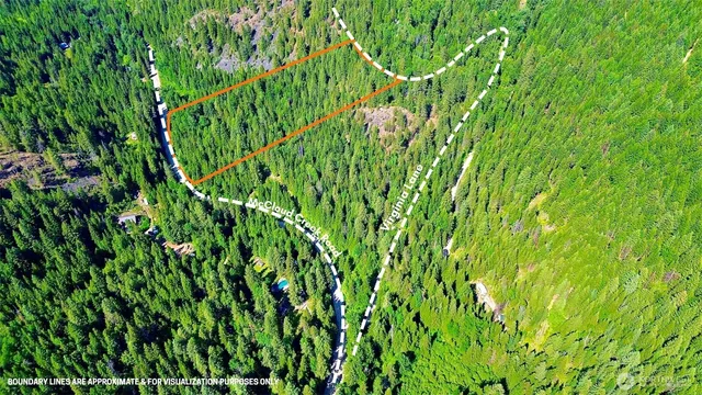 a view of a lush green space