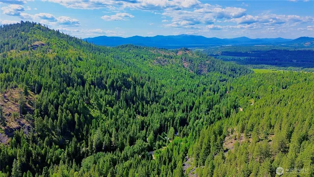 a view of a lush green forest with a houses