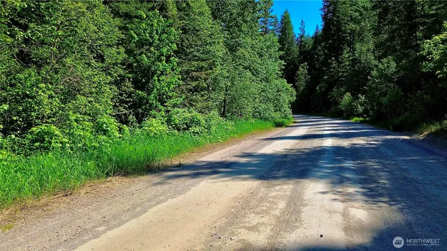 a view of a yard with plants and trees