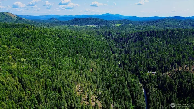 a view of a lush green hillside and a building
