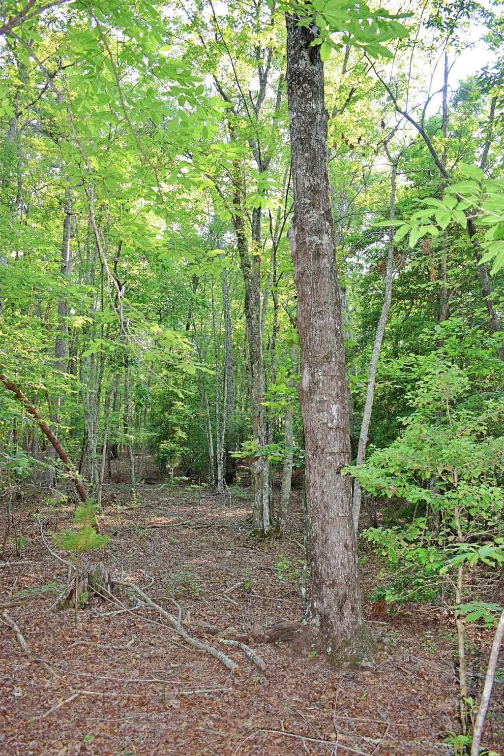 Stacey Road Rutherfordton, NC 28139 - Photo 29 of 36