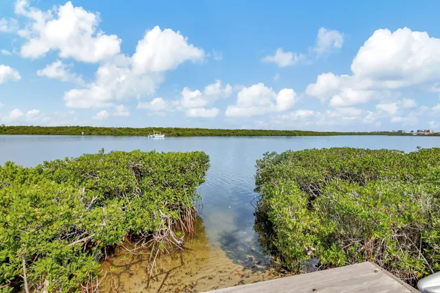 a view of a wooden deck with a yard