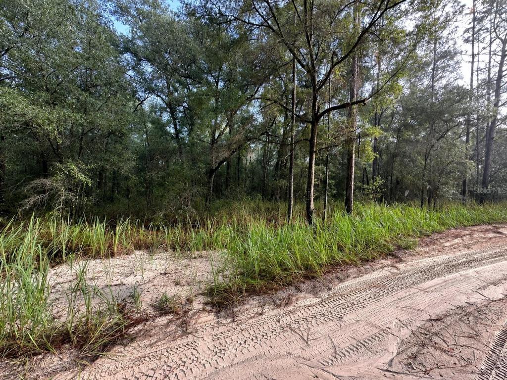 Southwest 40th Street Ocala, FL 34481 - Photo 3 of 6