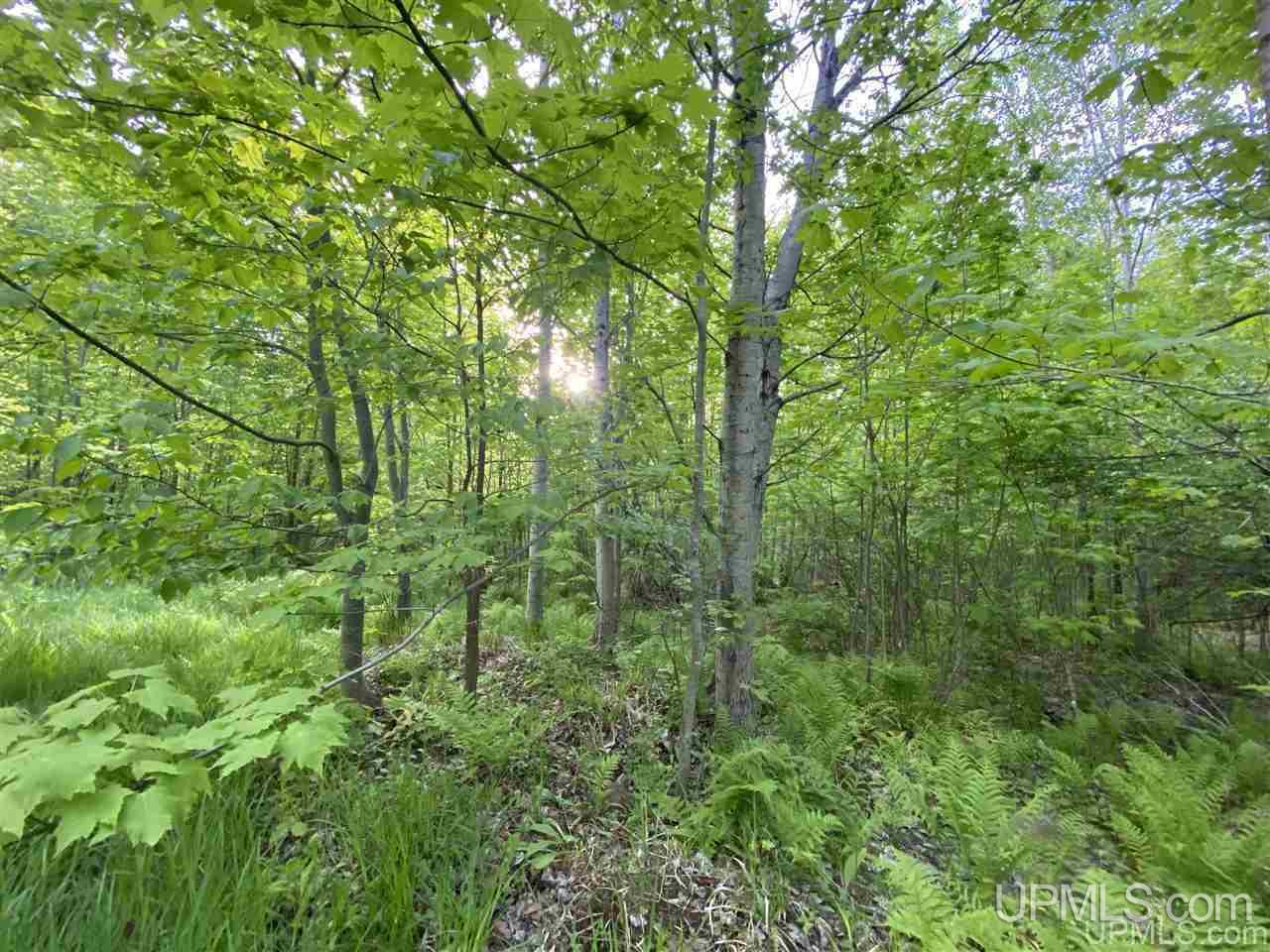 Tbd Dalton Road Skandia, MI 49885 - Photo 3 of 14