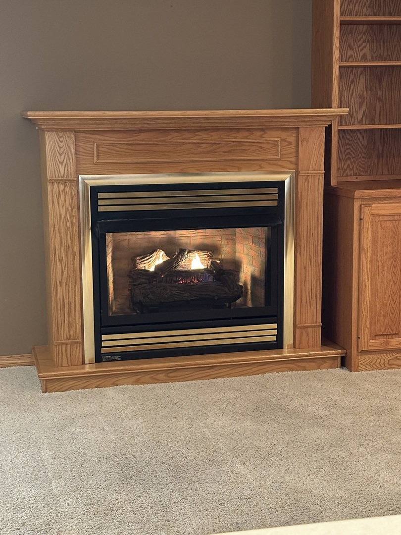 1005 North Fox Run Villa Grove, IL 61956 - Photo 15 of 45 a view of fireplace and utility room