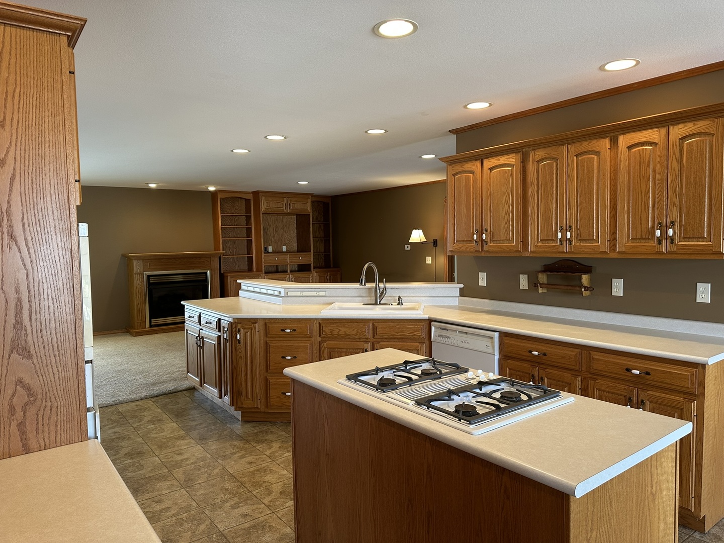 1005 North Fox Run Villa Grove, IL 61956 - Photo 8 of 45