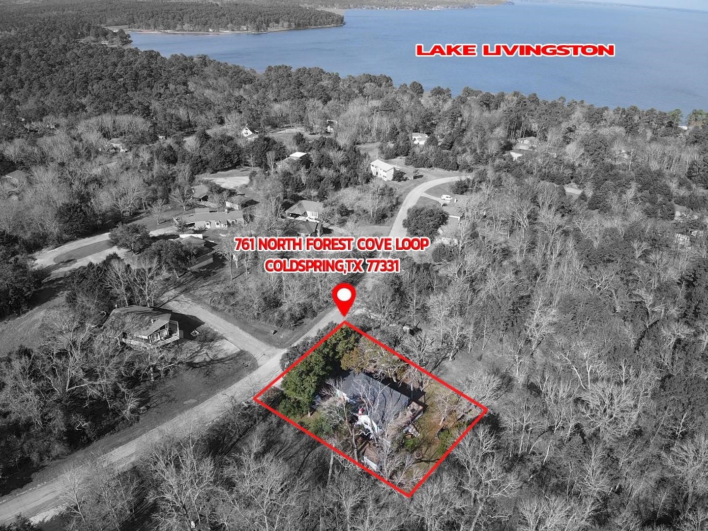 761 North Forest Cove Loop Coldspring, TX 77331 - Photo 3 of 33