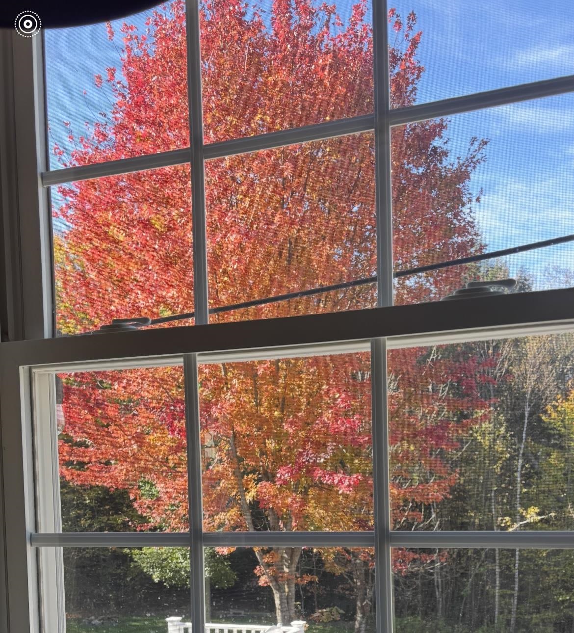 98 Perry Road Jaffrey, NH 03452 - Photo 31 of 35